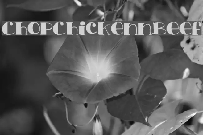 ChopChickennBeef Font examples