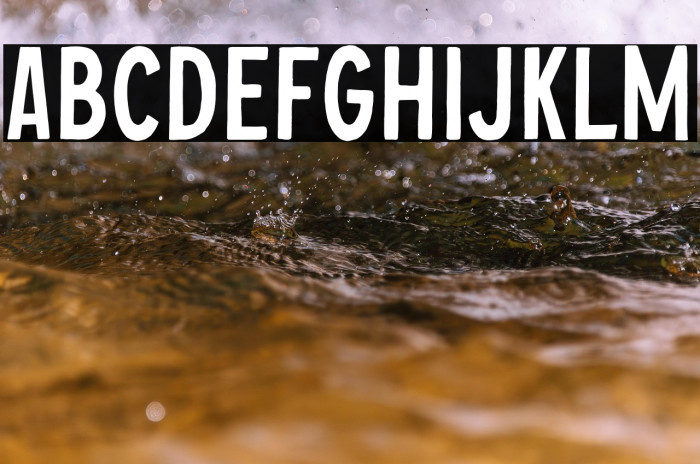 ChopaderOneDEMO Example 2