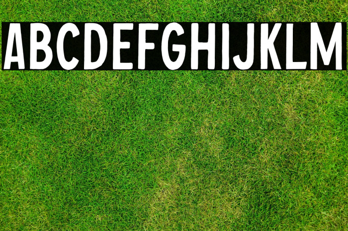 ChopaderOneDEMO Example 3