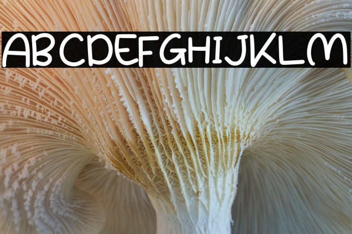 Choper Quirky Example 2