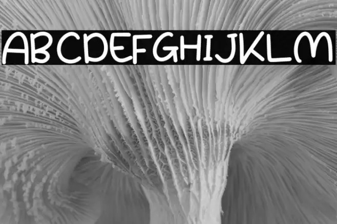 Choper Quirky Caratteri examples