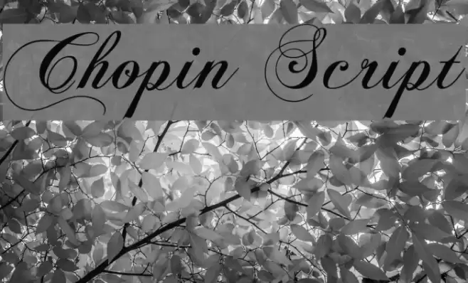 Chopin Script Font examples