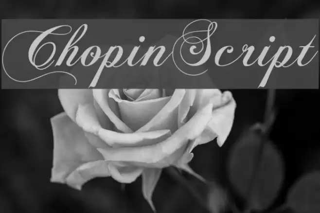 ChopinScript Шрифта examples