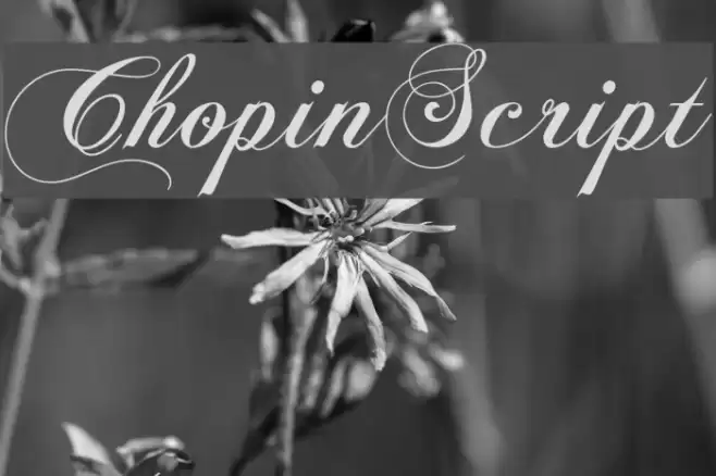 ChopinScript Шрифта examples