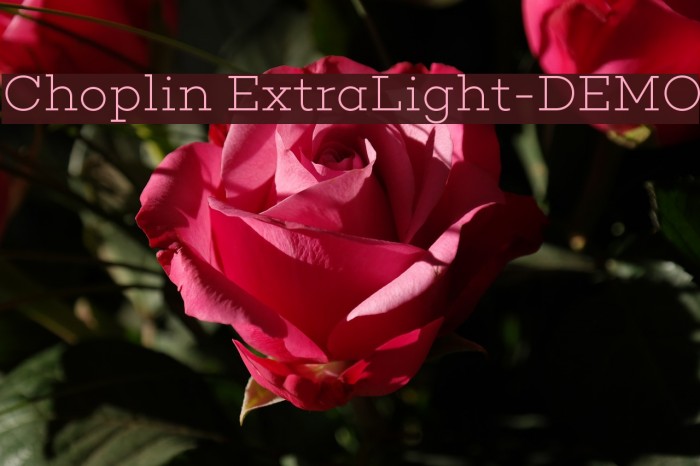 Choplin ExtraLight-DEMO Font examples