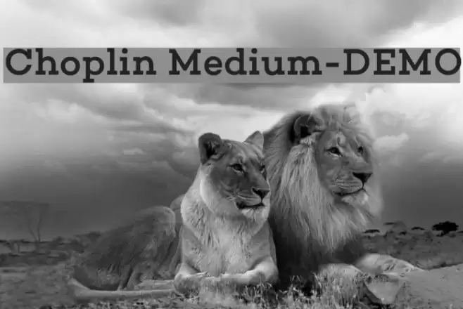 Choplin Medium-DEMO Caratteri examples