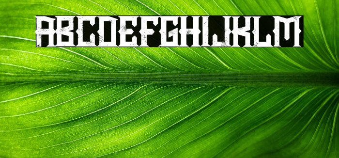 Chopper City Example 2