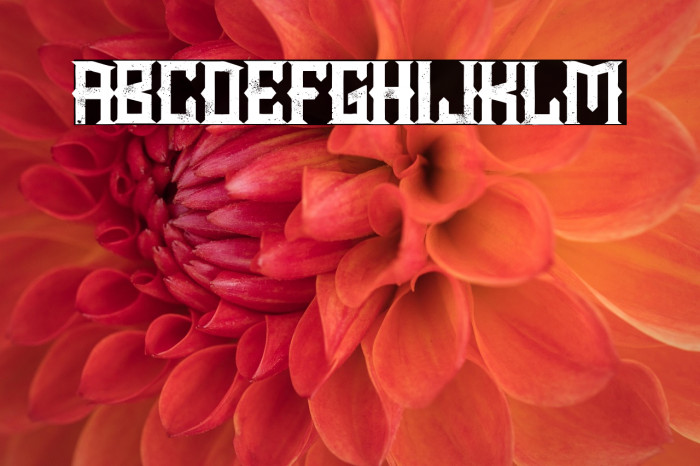 Chopper City Example 3