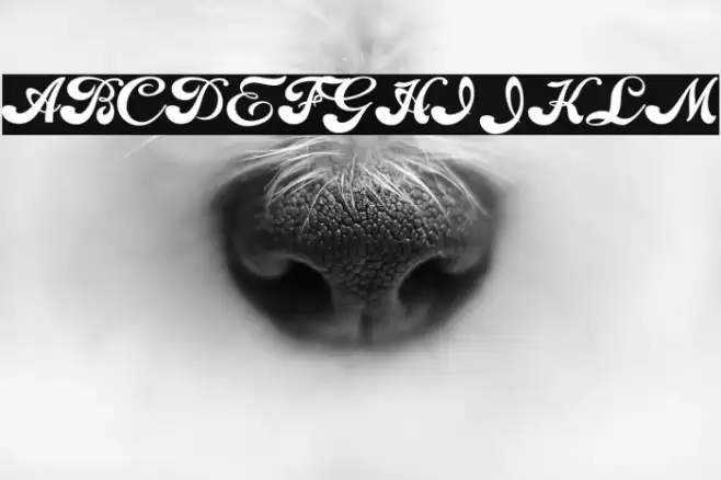 Choppers Personal Use Font examples