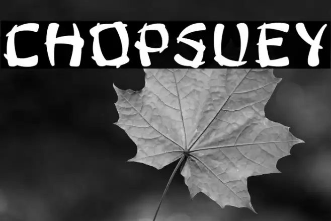 ChopsUey Font examples