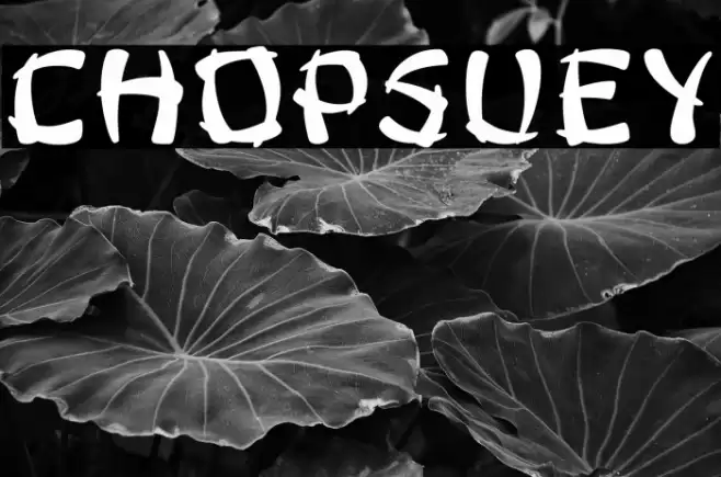 ChopsUey Font examples