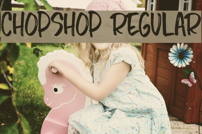 Chopshop Regular Font examples