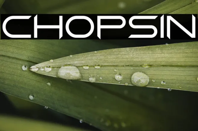 Chopsin Example 3