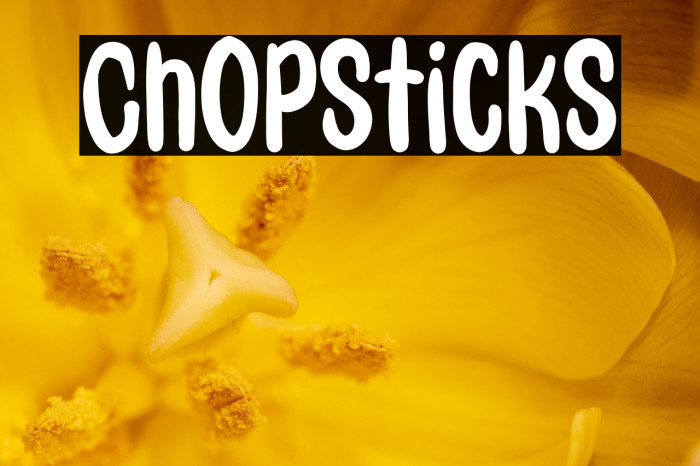 Chopsticks Example 2