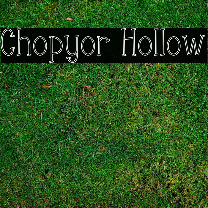 Chopyor Hollow Example 1