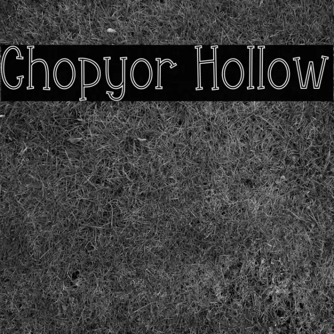 Chopyor Hollow Font examples