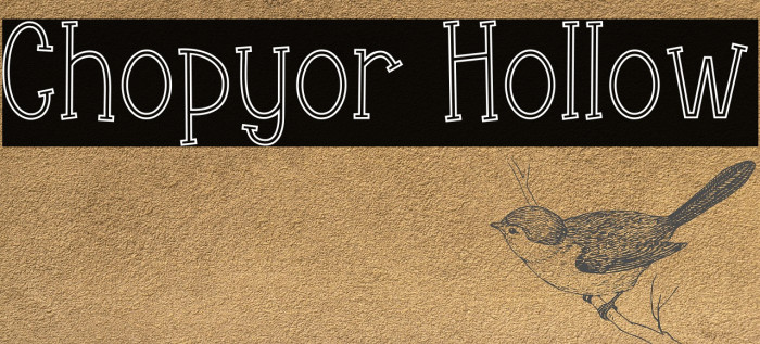 Chopyor Hollow Example 3