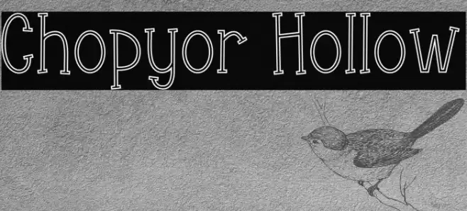 Chopyor Hollow Font examples