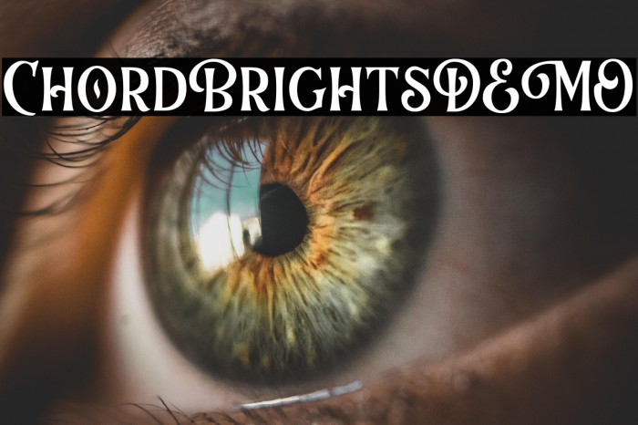 ChordBrightsDEMO Example 2