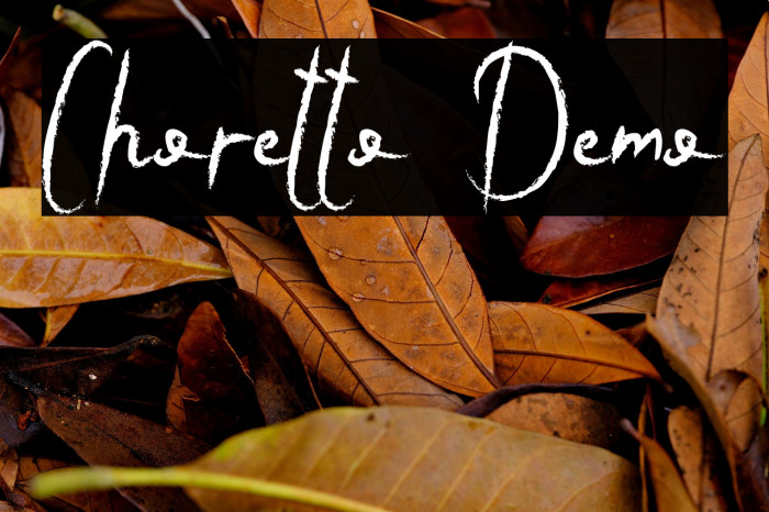 Choretto Demo Example 2
