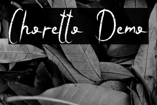 Choretto Demo Font examples