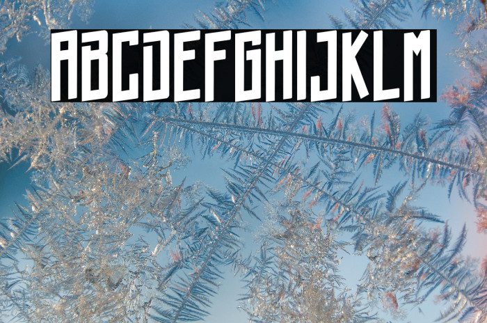 Chorizo Cartel_PersonalUseOnly Example 1