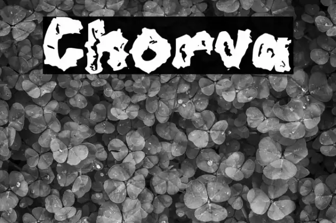 Chorva Font examples