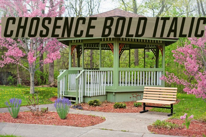 Chosence Bold Italic Font examples