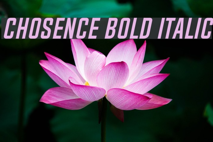 Chosence Bold Italic Font examples