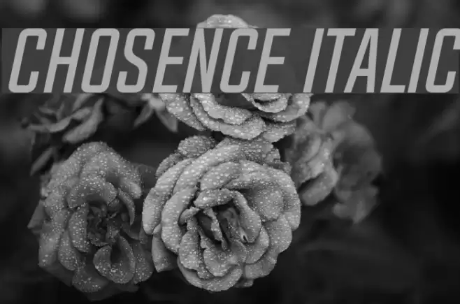 Chosence Italic Font examples