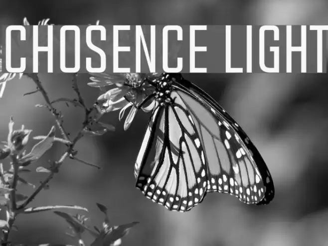 Chosence Light Font examples