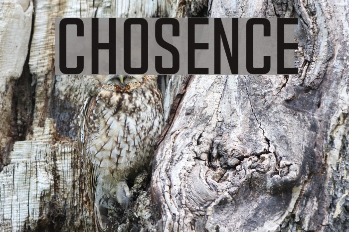 Chosence Font examples