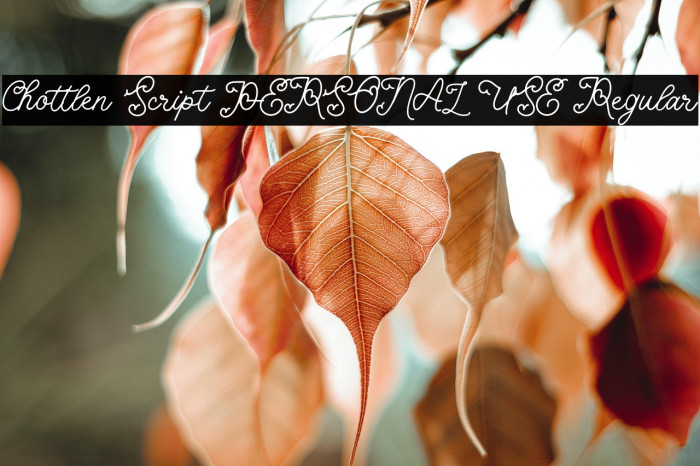 Chottlen Script PERSONAL USE Regular Example 1