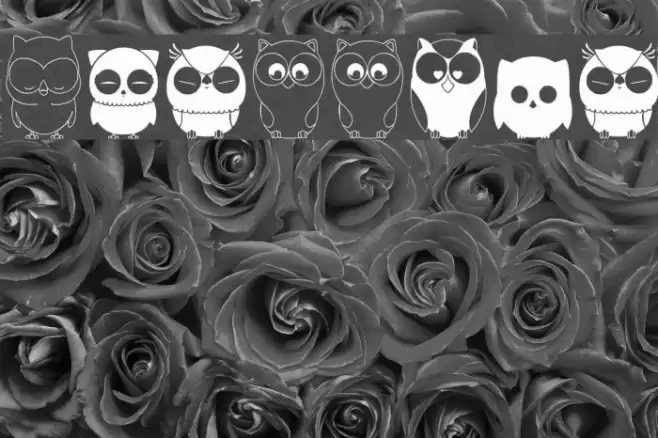 Chouette alors Font examples