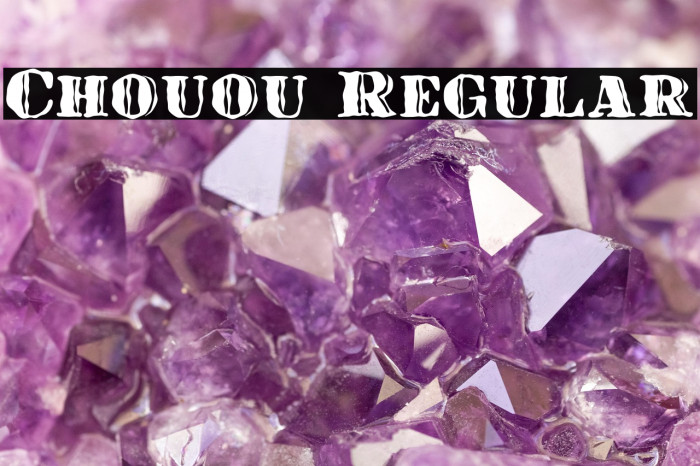 Chouou Regular Example 2