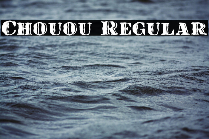 Chouou Regular Example 3