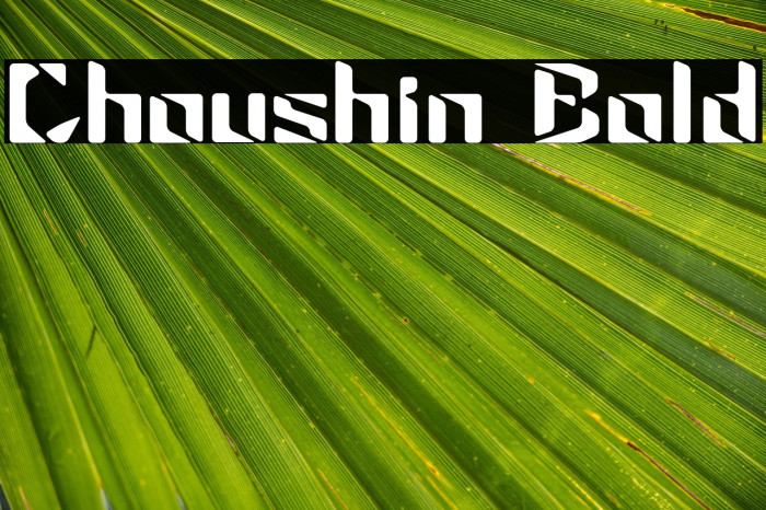 Choushin Bold Example 2