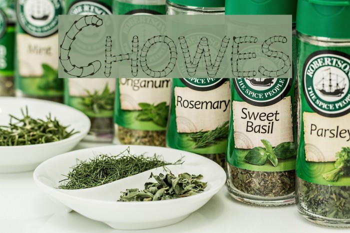 Chowes Font examples
