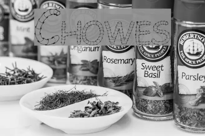 Chowes Font examples
