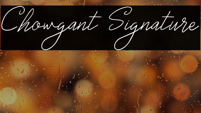 Chowgant Signature Example 2