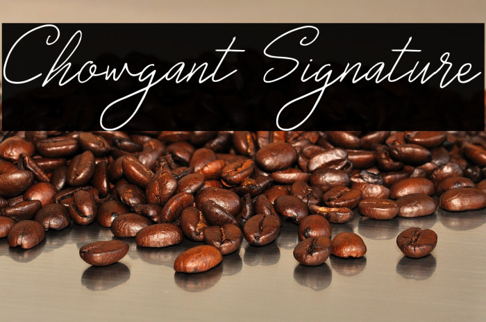 Chowgant Signature Example 3