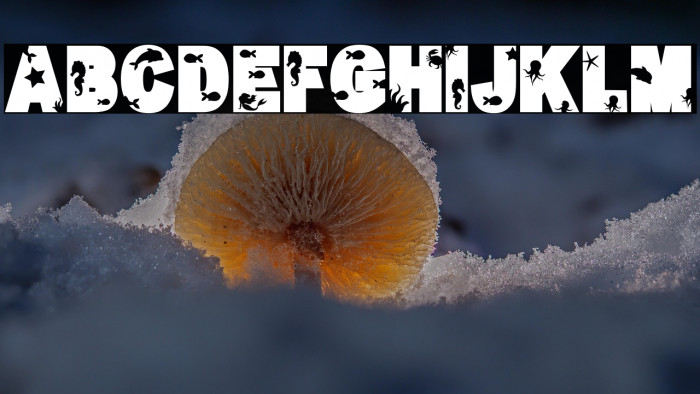 Chozy mermaid Example 3