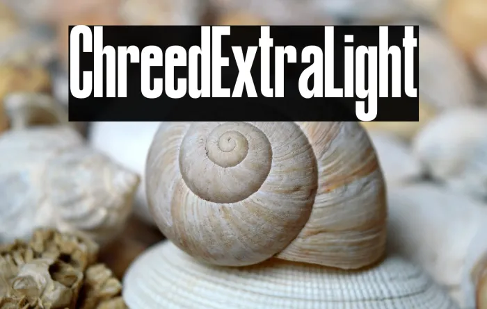 Chreed Extra Light Example 3