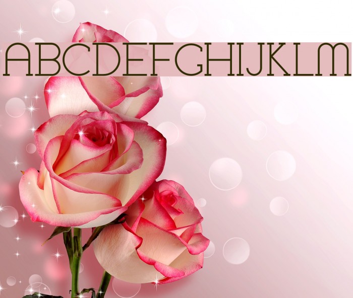 ChremselSerif-Regular Font examples