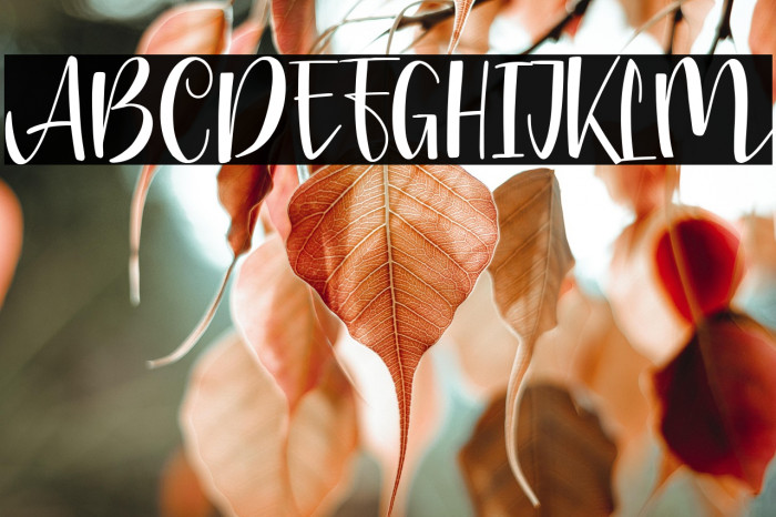 Chrisbellin Example 1