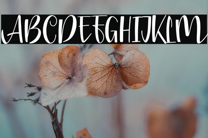 Chrisbellin Example 3