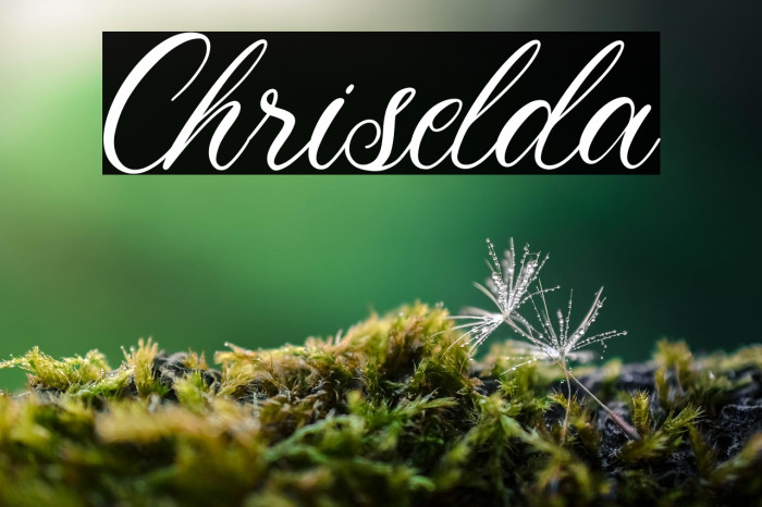 Chriselda Example 1