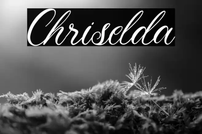 Chriselda Font examples