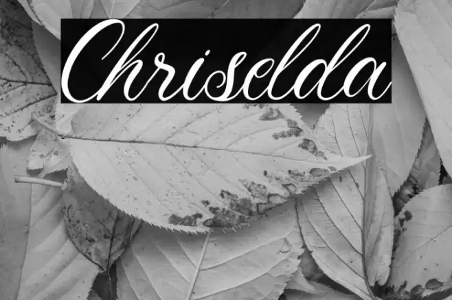 Chriselda Font examples