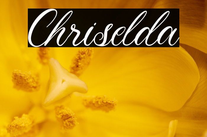 Chriselda Example 3